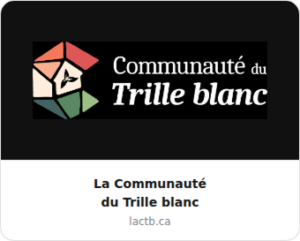 partenaire_ctb